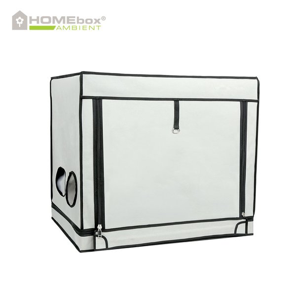 HOMEbox® Ambient R80S